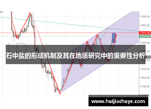石中盐的形成机制及其在地质研究中的重要性分析